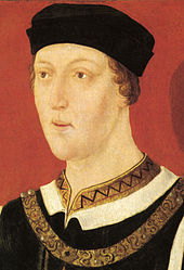 enrico 6